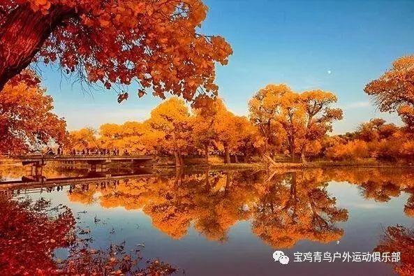 救援大胡子斗士