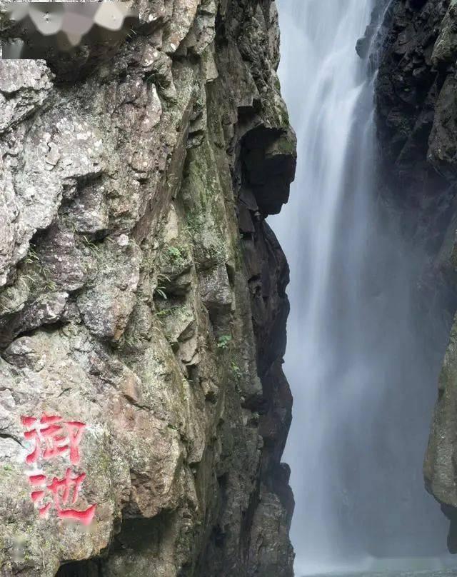 救援男厨师